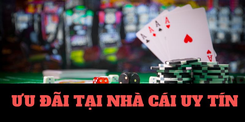 Trang Cá Độ Bóng Đá Việt Nam Được Khuyên - Đánh Giá Cao